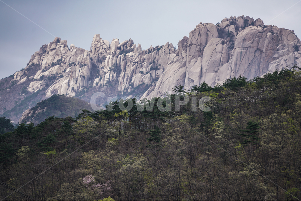 설악산,봄,울산바위,관광,강원도,seoraksanmountain,seoraksannationalpark,koreanmountain,spring,may,tour,ulsanbawirock,자연,풍경,nature,landscape,한국자연풍경,한국자연경관,korea nature landscape,outdoors,옥외,mountain,산