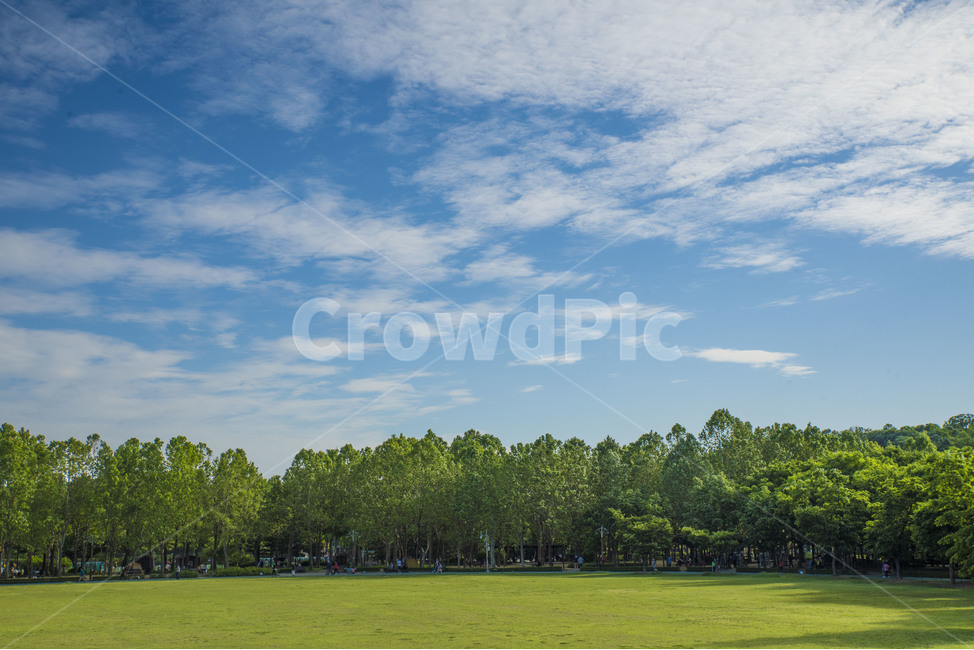 풍경,공원,하늘,맑은날,나무,자연,풍경,nature,landscape,grass,잔디,plant,식물,lawn