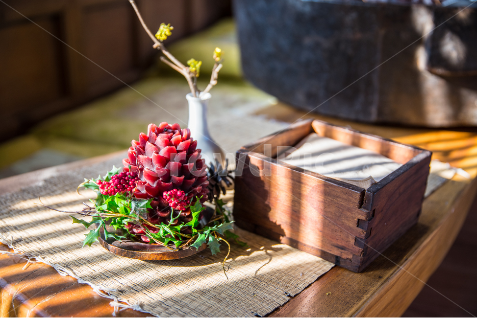 찻집,꽃병,창가,햇살,분위기,식물,자연,plants,nature,실내용화초,화분,화초,house plant,인테리어,실내디자인,interior design