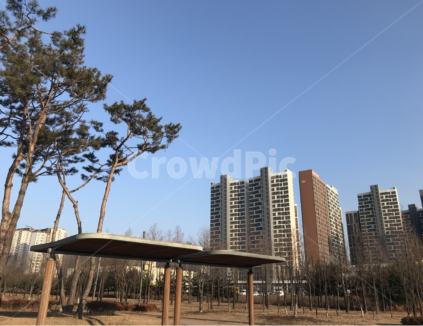 나무,풍경,건물,아파트,하늘