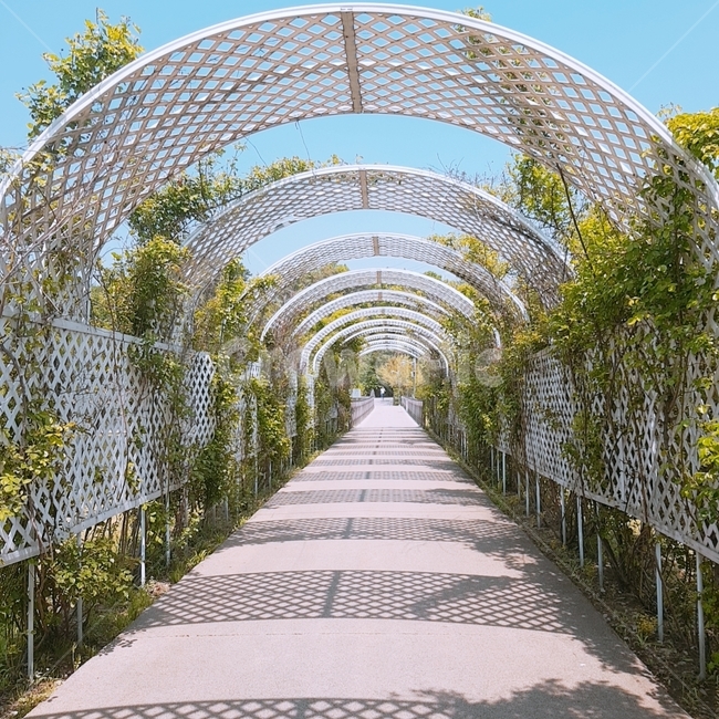 park,공원,outdoors,옥외,garden,정원,arbour,정자