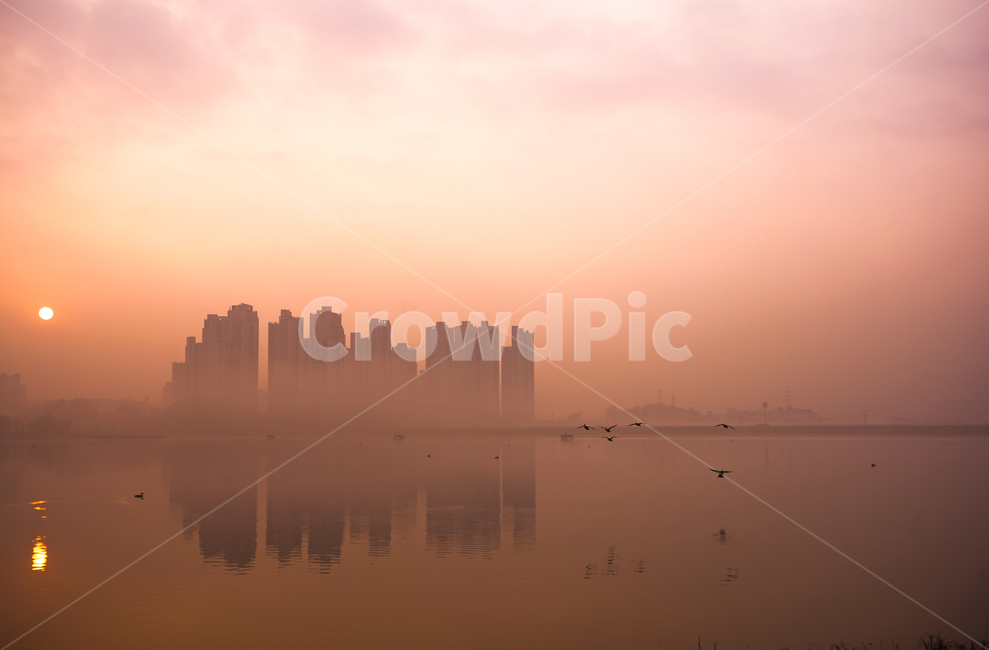 호수,안개,아파트,건물,물안개,아침,풍경,자연,도시,풍경,city,landscape,한국도시풍경,한국도시경관,korea cityscape,nature