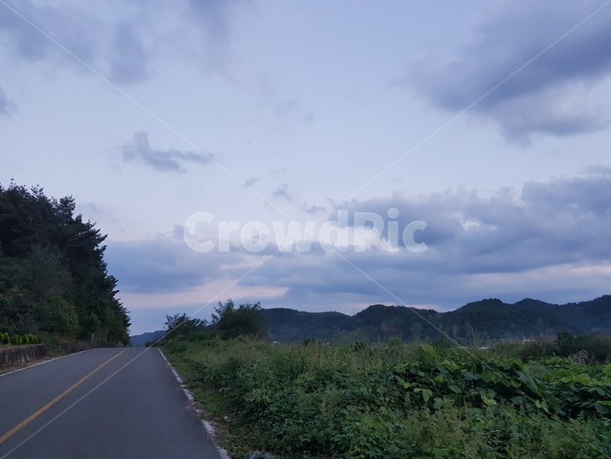 시골길,시골,road,도로,아스팔트,논,흐린날,구름,하늘,자연,풍경,nature,landscape,highway,고속도로,freeway,고속 도로,asphalt