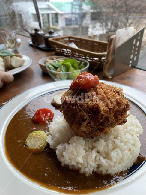 curry,카레,egg,돈카츠,카츠