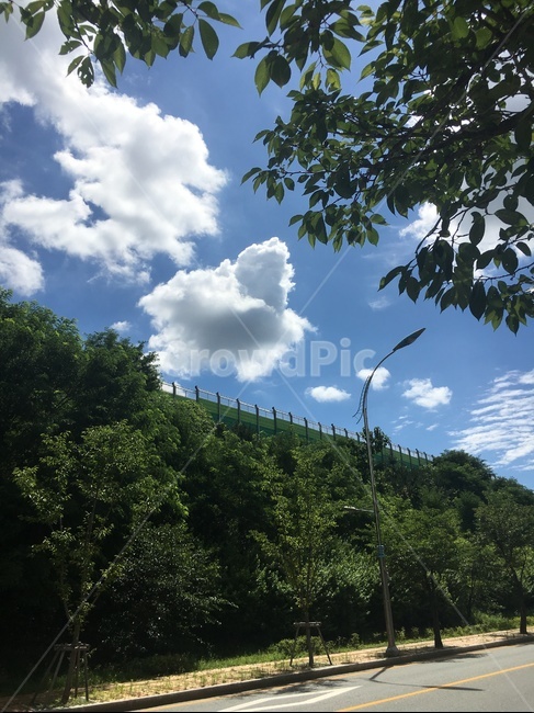 하늘,구름,산,나무,이파리,여름,자연,풍경,nature,landscape,outdoors,옥외,weather,날씨,cumulus,적운,sky,cloud
