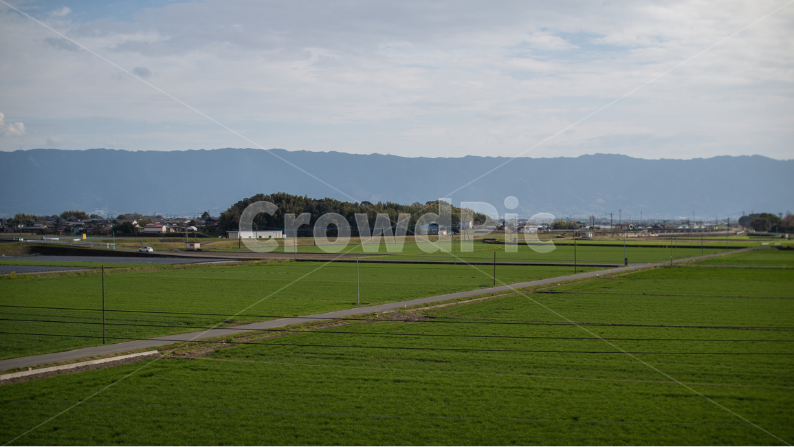 자연,밭,농사,초록,광활,시골,마을,풍경,landscape,country,rural,town,산업,industry,industrial,농업,농사,agriculture,farming,farming industry