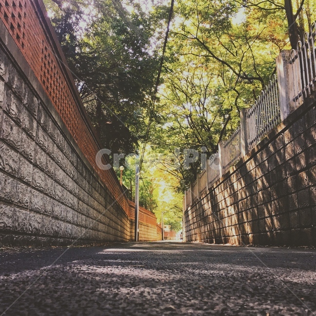 감성,가을,골목길,길거리,담벼락,담,골목길,alley,walkway,보도,path,통로,street,거리,building,건물,town,도시,road,도로,city,시티,urban,어반