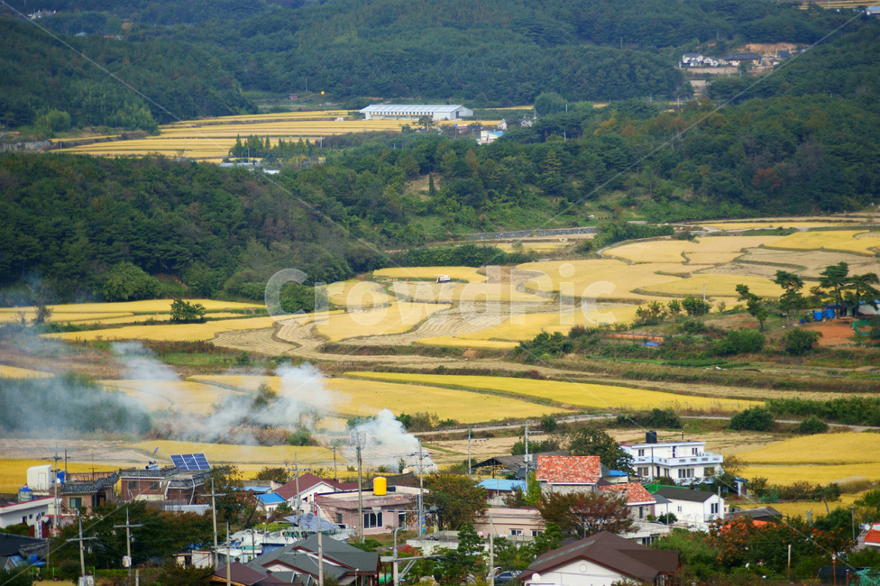 가을,노랑,물들다,풍경,연기,자연,경치,주택,집,산,농사,시골,landscape,scenery,nature,fall,autumn,풍경배경,배경,가을배경,시골,마을,풍경,landscape,country,rural,town