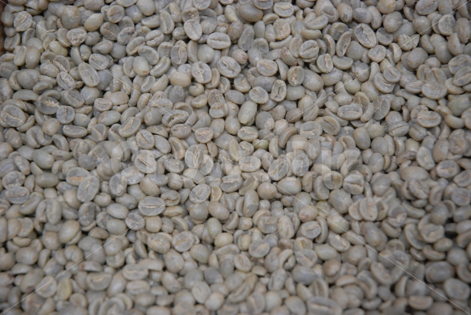 커피원두,생두,BEAN,커피생두,커피,COFFEE,커피,카페,coffee,cafe