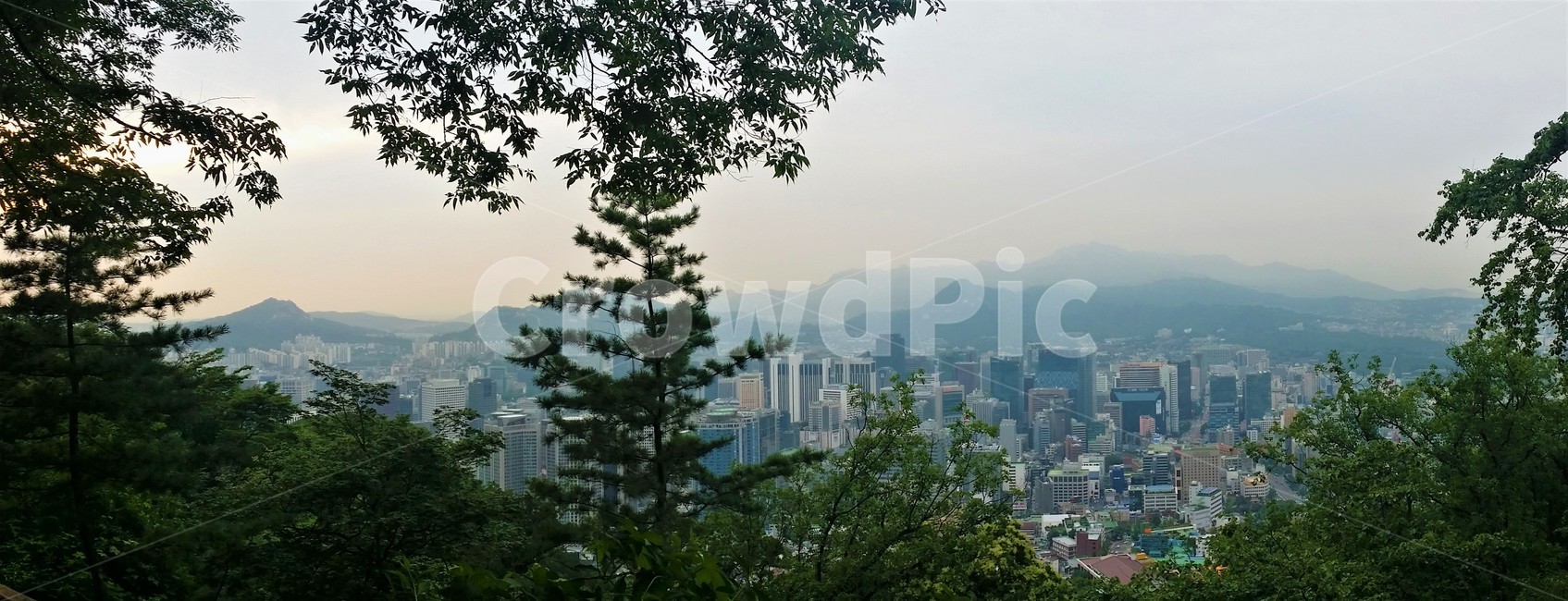 자연,풍경,도시,nature,landscape,경치,숲,나무