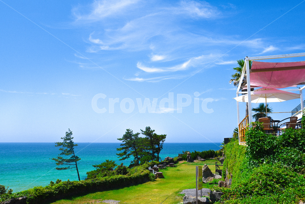 제주도,여름날바다,여름,하늘,바다,곽지해수욕장,초록,sea,jeju,summer,sky,green,자연,풍경,nature,landscape,outdoors,옥외,grass,잔디,plant,식물