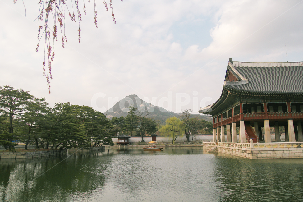 고궁,풍경,경복궁,경회루,봄,자연,봄,계절,spring,season,한국전통,한국문화,korean traditional,korean culture,랜드마크,landmark,tourist attraction,한국랜드마크,한국관광지,한국명소,korea landmark,korea tourist attraction,architecture,건축물,building,건물