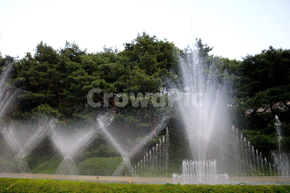 분수,분수대,물,공원,예술의전당,나무,소나무,자연,풍경,nature,landscape,water