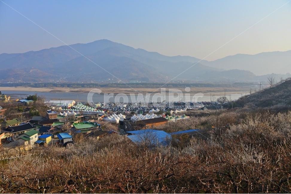 nature,자연,landscape,경치,outdoors,옥외,scenery,풍경,광양,다압,매화마을,섬진강,매화축제,청매실농원,청매원