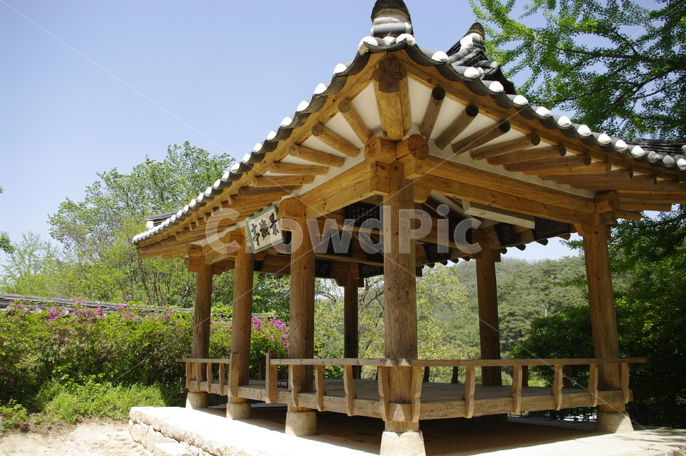 소수서원,서원,건축,전통건축,traditional,전통,기와지붕,초록,나무,잎,한국전통,한국문화,korean traditional,korean culture,건축물,건물외관,exterior,building,structure,architecture,construction