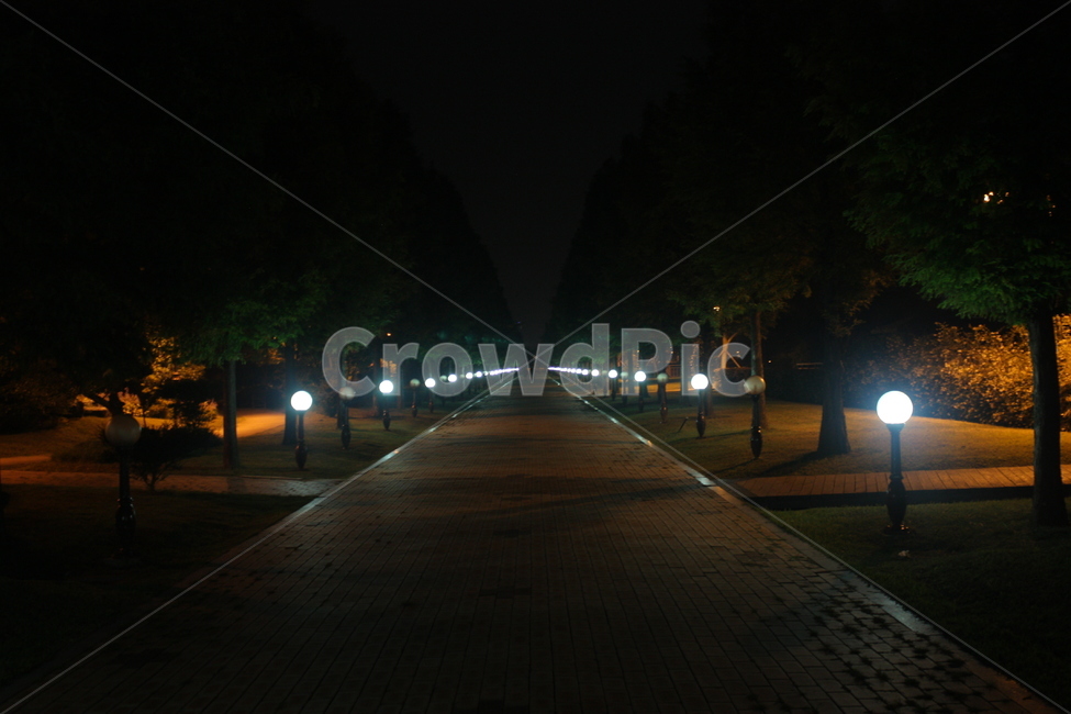 공원,밤,저녁,night,park,야외,outdoor