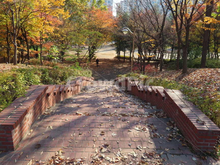 flagstone,판석,path,통로,walkway,보도,가을