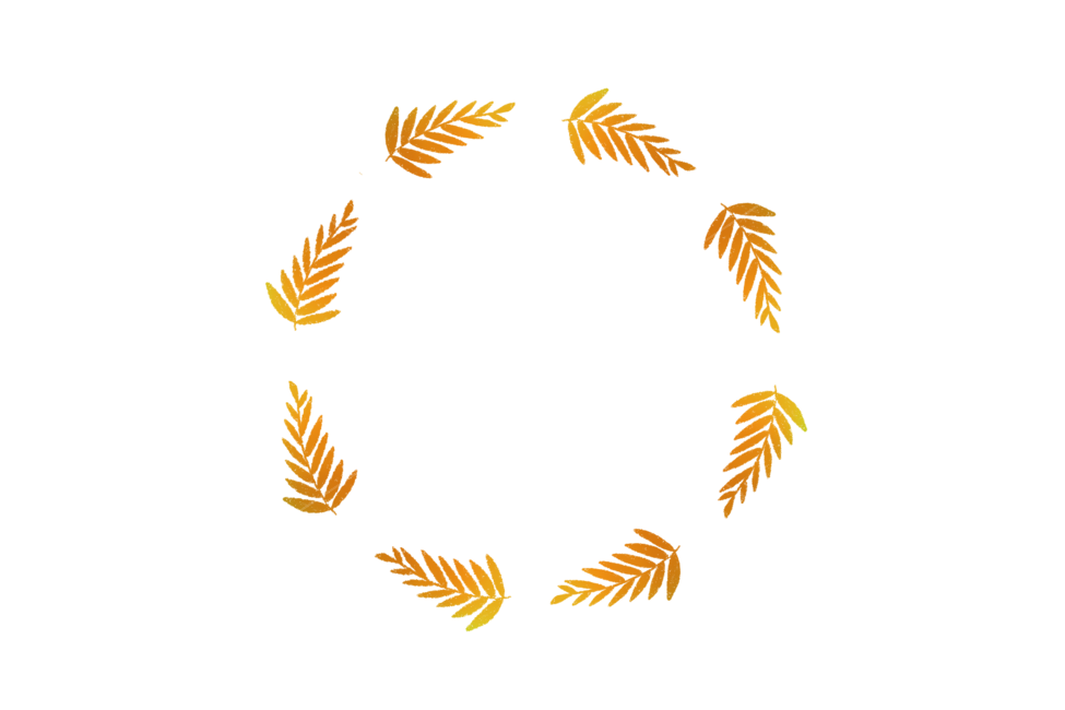 가을,원,프레임,손그림,리스,풀,스템프,plant,누끼,remove background