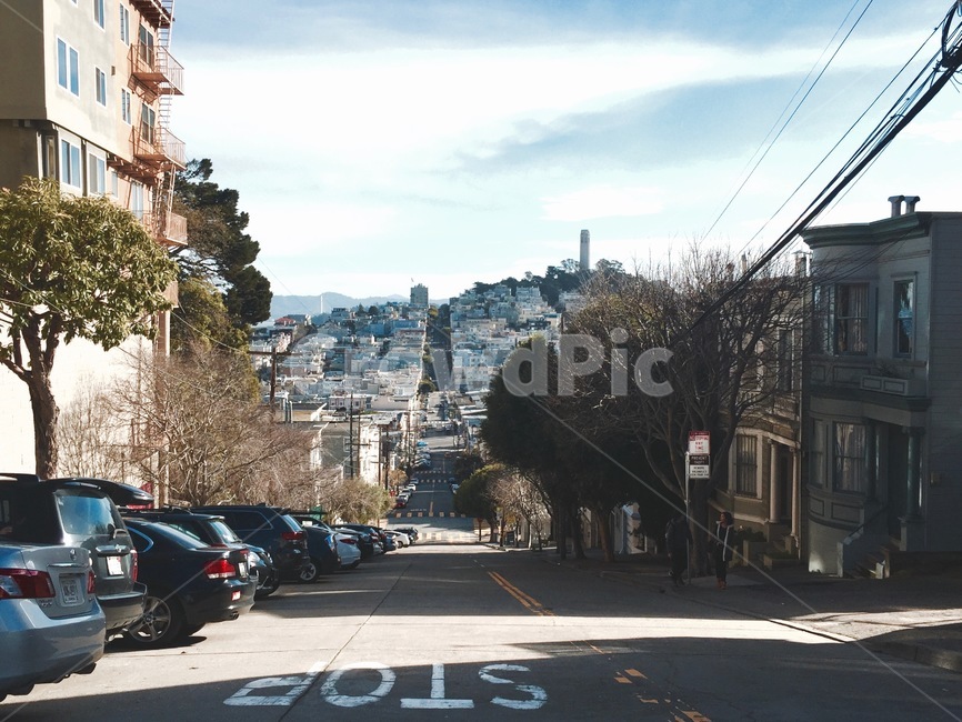 미국,도로,샌프란시스코,도시,길,america,road,순간,내리막길,오르막길,downhill,uphill,sanfrancisco,city,차량,통행,동네