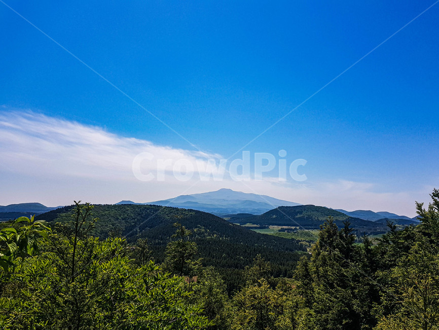 힐링,풍경,구름,자연,하늘,경치,제주도,제주,감성,휴식,자연풍경,오름,맑음,jeju,healing,scenery,nature,landscape,sky,emotion,rest,sunny,cloud,아비,abies,전나무,fir,나무,tree,식물,plant,자연,풍경,nature,landscape