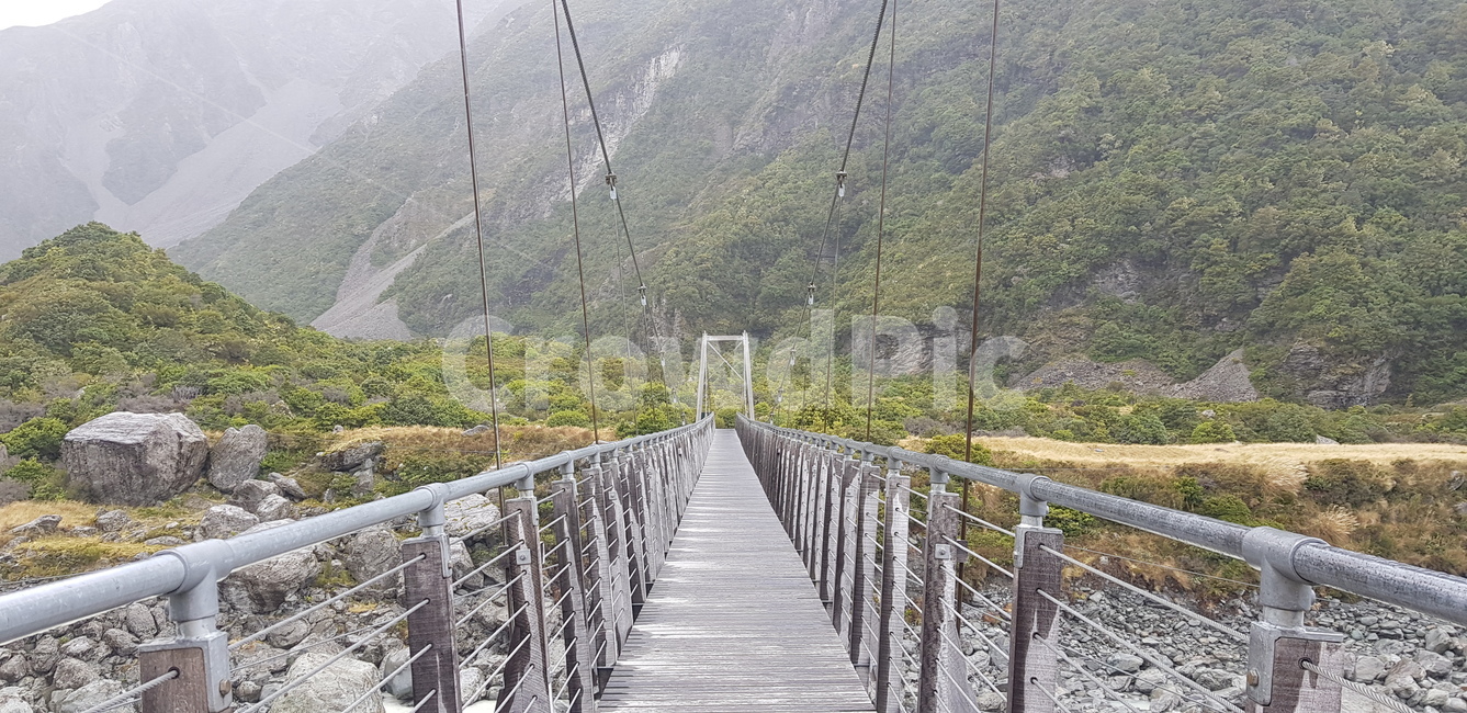 흔들다리,다리,뉴질랜드,자연,풍경