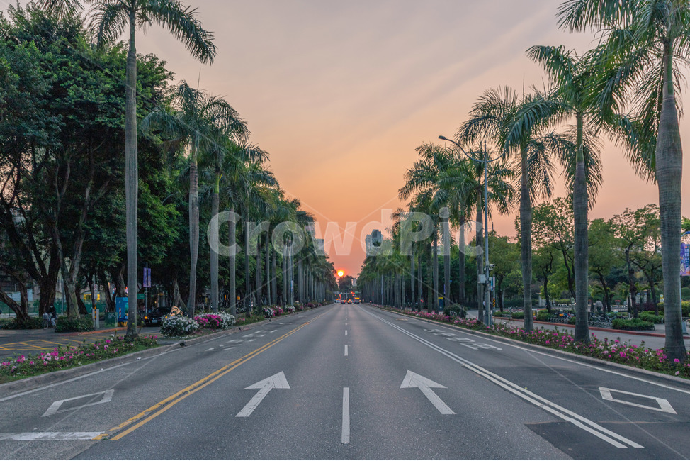 road,도로,asphalt,아스팔트,하늘,구름,일몰,자연,landscape,sunset,tree,나무,대만,타이베이