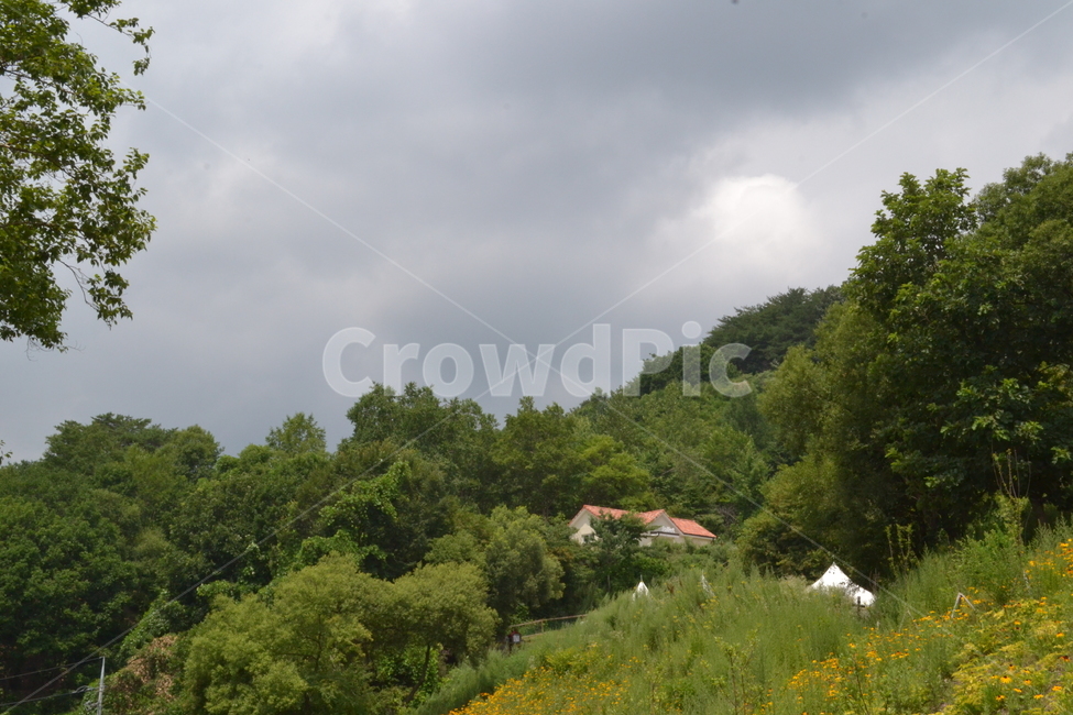 outdoors,nature,grassland,자연,들,field,흐림,cloud,자연,풍경,nature,landscape