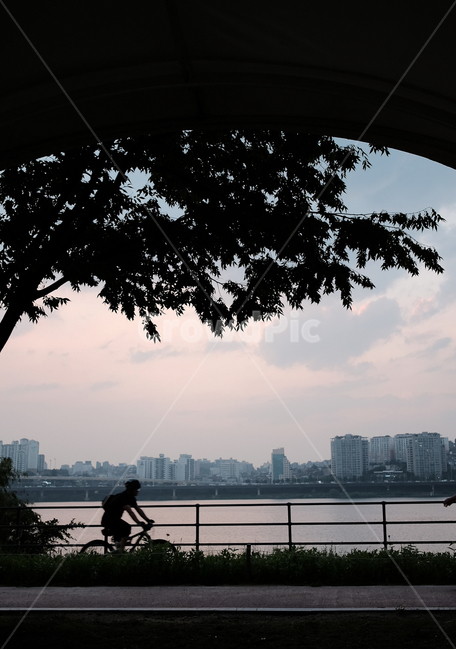 한강,자전거,사람,풍경,강변,나무,휴식,힐링