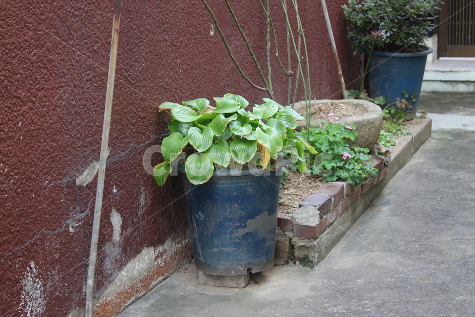 pottery,pottedplant,plant,식물,brick,화분,도기류,jar,vase,벽돌,병장식,항아리,실내용화초,화분,화초,house plant