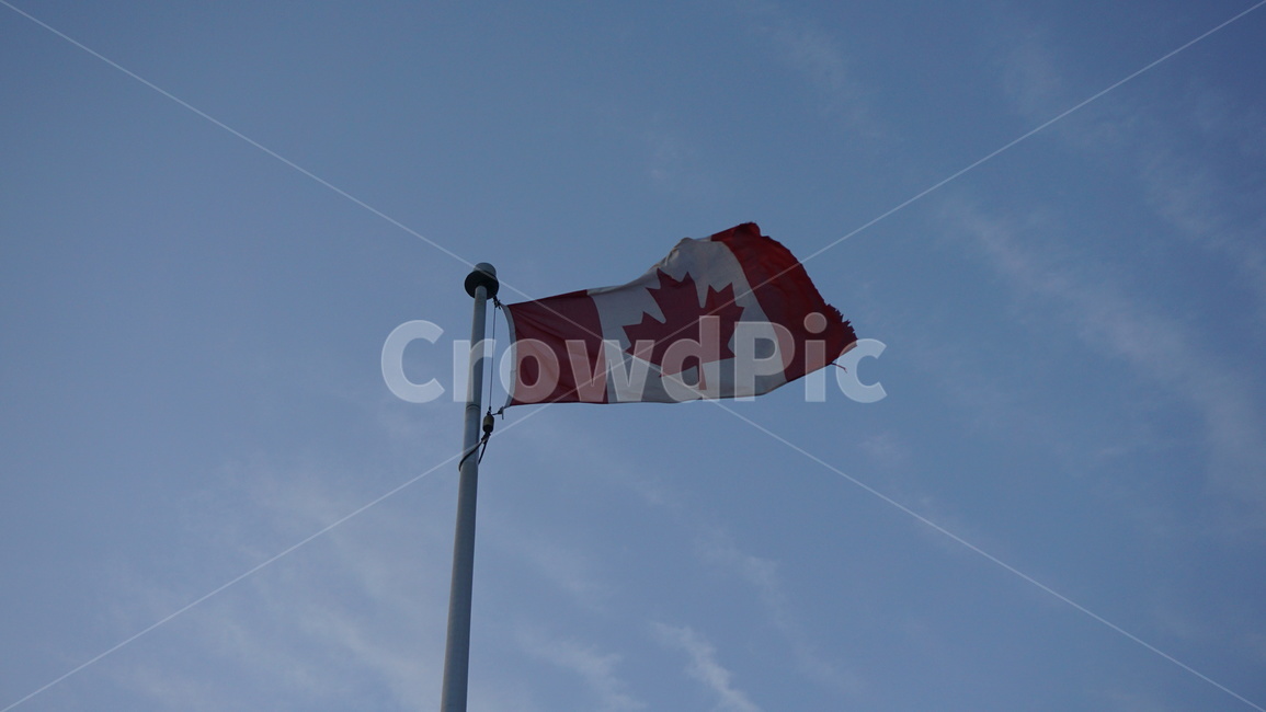 캐나다,국기,단풍국,flag,canada,wind,sky
