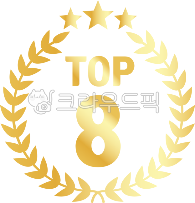 Advance to finals,top rank,top8,final,Top 8,top eight