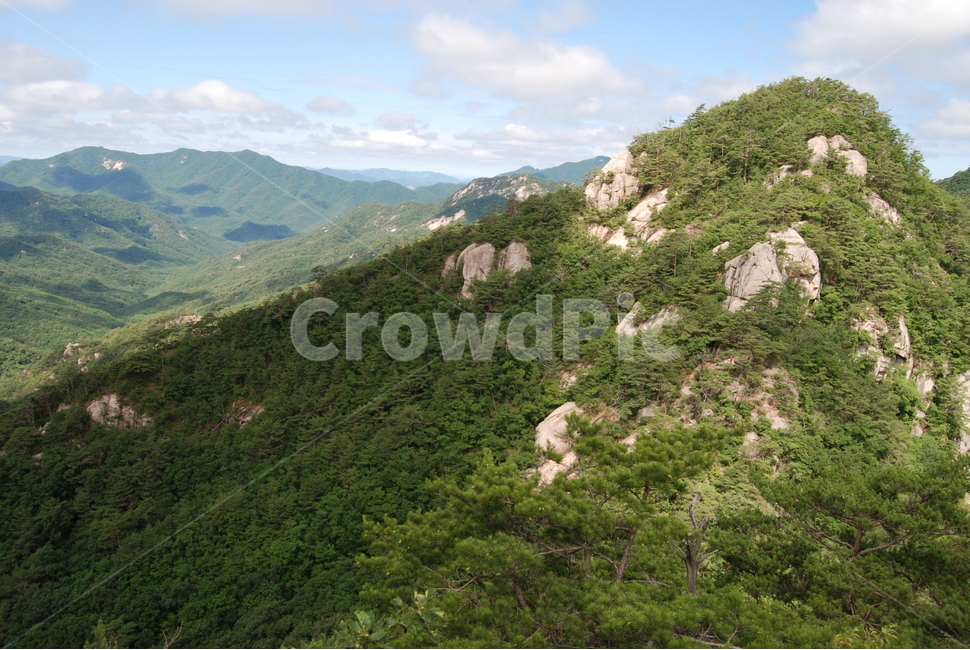 괴산군,국립공원,속리산,자연,여름,자연,풍경,nature,landscape,slope,경사,hill,언덕,outdoors,옥외