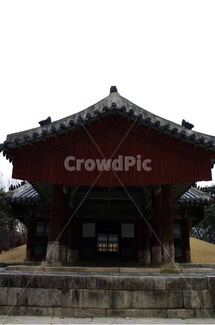 왕릉,풍경,한국,세계문화유산,전각,하늘,전통,릉,한국전통,한국문화,korean traditional,korean culture,랜드마크,landmark,tourist attraction,한국랜드마크,한국관광지,한국명소,korea landmark,korea tourist attraction,건축물,건물외관,exterior,building,structure,architecture,construction