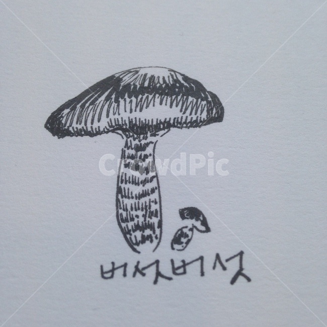 버섯,일러스트,펜아트,그림,손그림