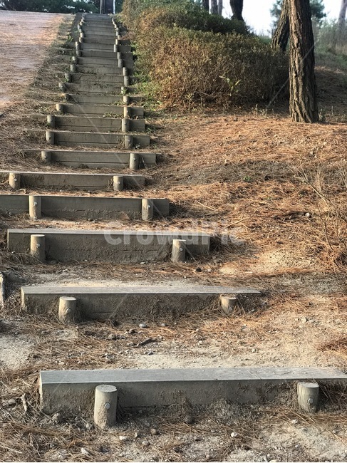 나무계단,계단,길,걷기,오르막