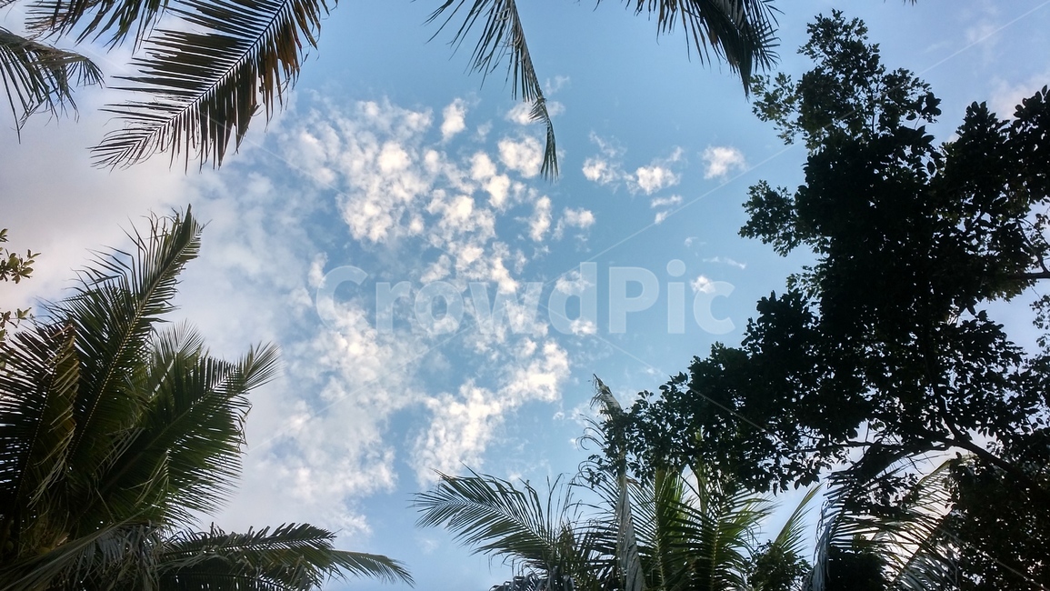 해변,세부,힐링,하늘,푸른하늘