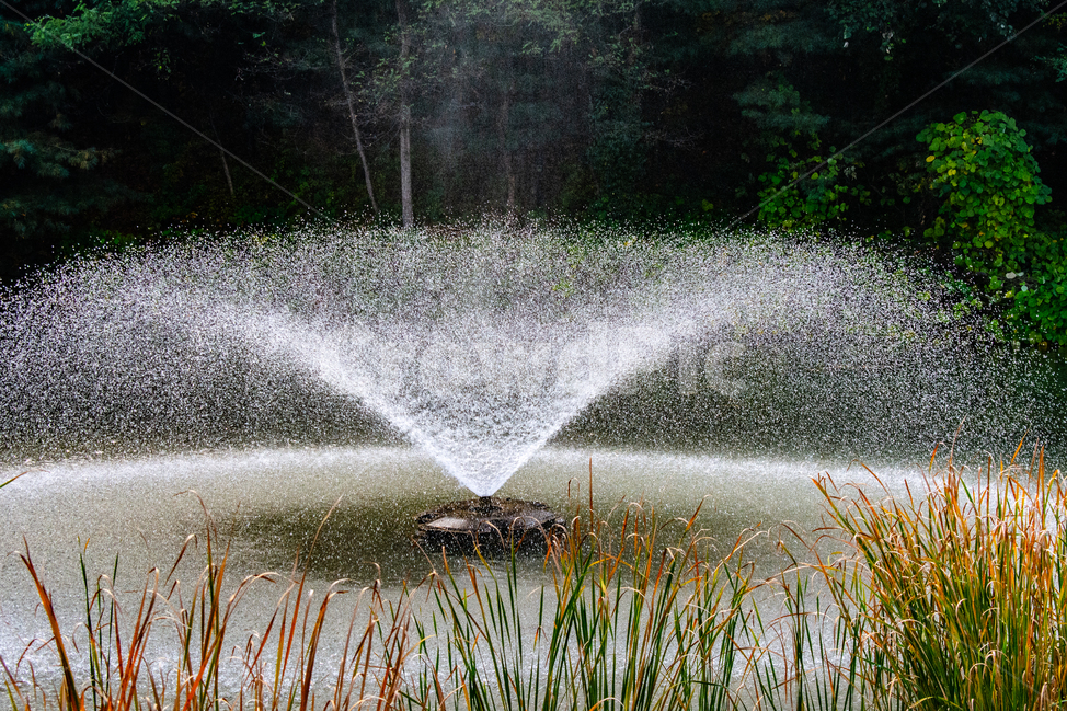 분수,물방울,확산,흩어짐,비산,자연,풍경,nature,landscape,water,물
