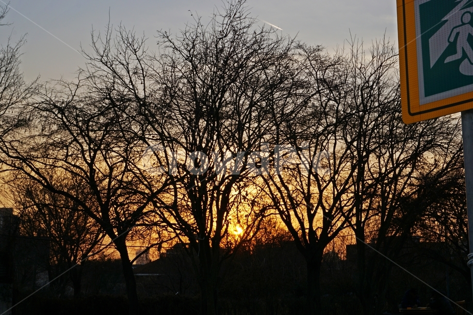하늘,나무,노을,풍경,어둠,dark,sky,wood,일몰,야경,도시,도심,건물,건축,nature,자연,city,building,darkphoto,sunset,nightlight,겨울,계절,winter,season,식물,자연,plants,nature,나무,trees,wood