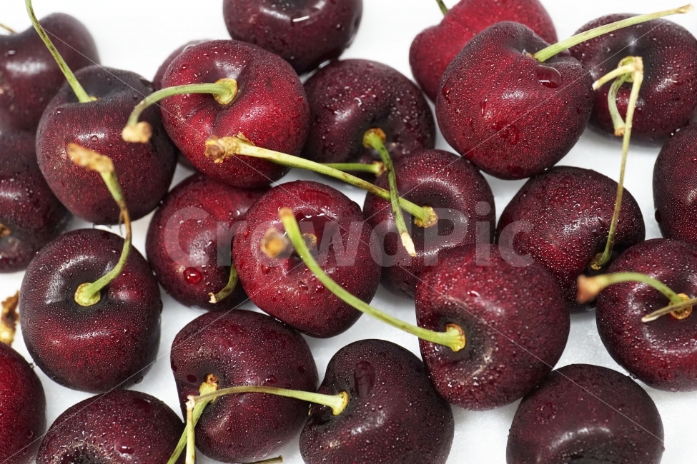 체리,앵두,과일,열매,프루트,후루트,fruit,cherry,음식,사물,물기,물방울,수분,비타민,과실,디저트,desert,food,오브젝트,object,농산물,농작물,식재료,식자재,식품,meal,vegetable,먹거리,먹을거리,먹을거,먹을것,음식,식재료,요리,food,cook,meal,dishes,food reserves,과일,열매,fruit