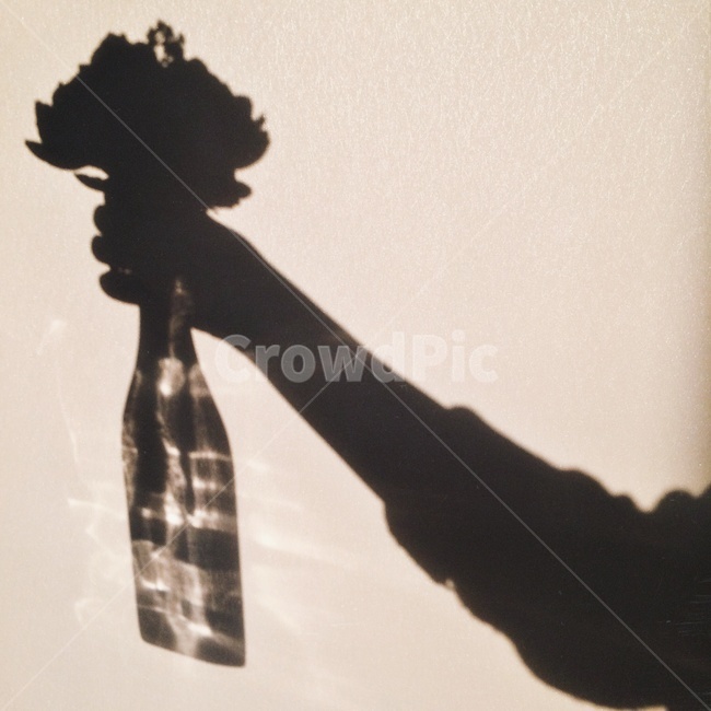 아침,그림자,꽃,꽃병,유리병,꽃,flower,인물실루엣,사람실루엣,character silhouette,human silhouette