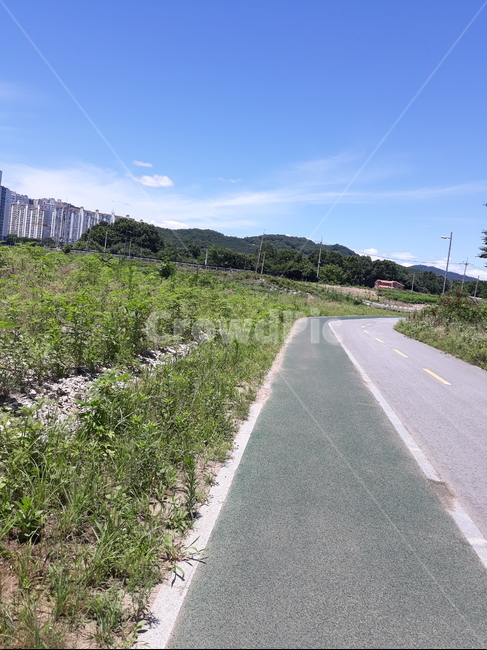 자전거도로,길,자전거,경치,봄,따스한,자연,풍경,nature,landscape,road,도로,asphalt,아스팔트,freeway,고속 도로