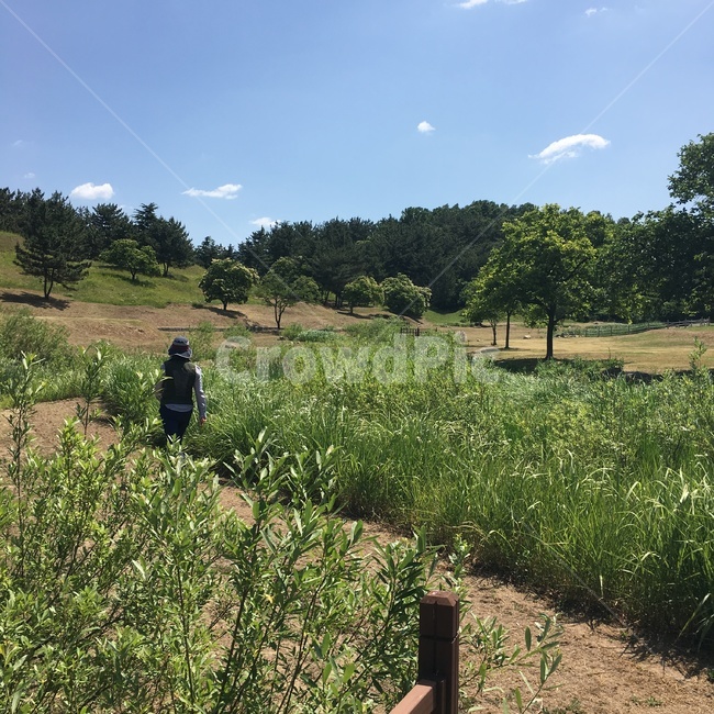 산책,하늘,동산,등산,걷기