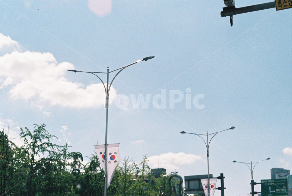 하늘,sky,가로등,가로수,구름,햇살,맑은,초록,나무,tree,sunny