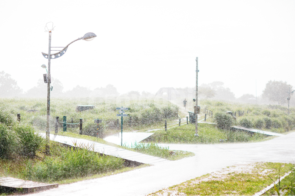 하늘,구름,비,비구름,소나기,풍경,길,자연,풍경,nature,landscape,비,비오는날,rain,rainy