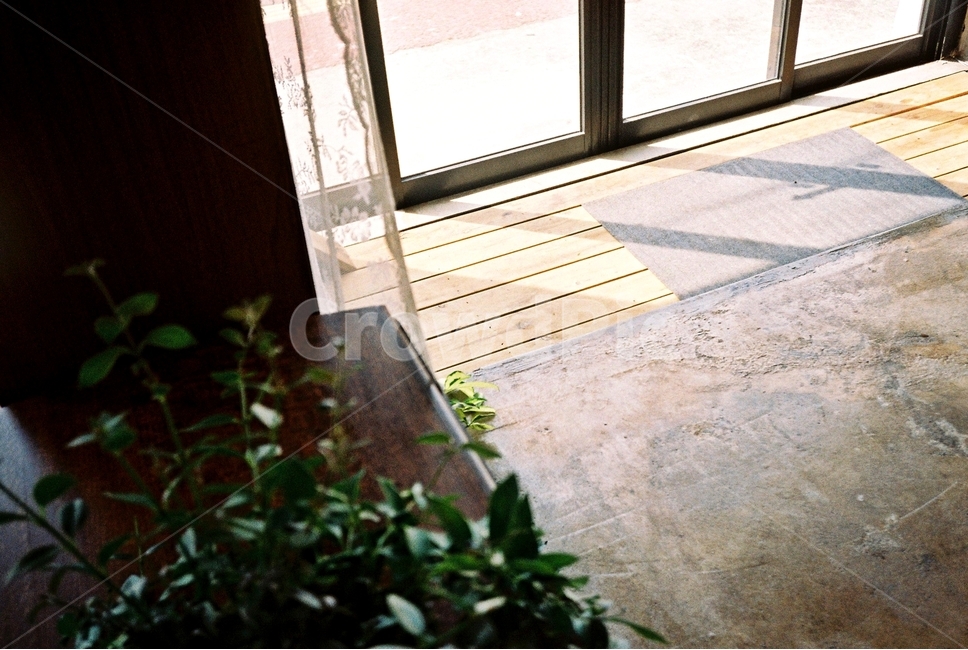 실내,햇빛,오후,인테리어,그림자,문,실내디자인,interiordesign,sunny,afternoon,filmphotography,감성,sensible,feeling,휴식,힐링,rest,relaxation,healing,인테리어,실내디자인,interior design