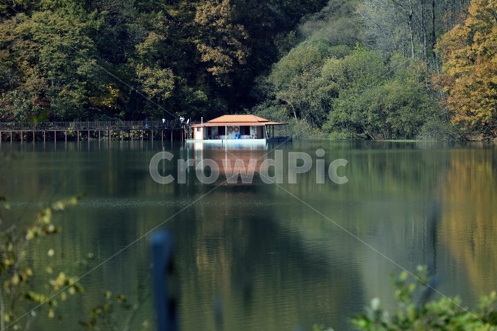 저수지,자연,집,물,호수,가을,계절,fall,autumn,season,자연,풍경,nature,landscape,한국자연풍경,한국자연경관,korea nature landscape