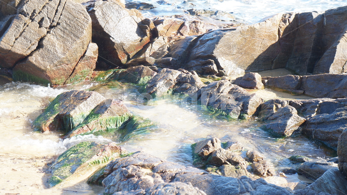 자연,nature,옥외,바다,강릉,정동진,sunrise,gangneung,jeongdongjin,sea,beach,seawater,water,물,자연,풍경,nature,landscape,outdoors,rock,록
