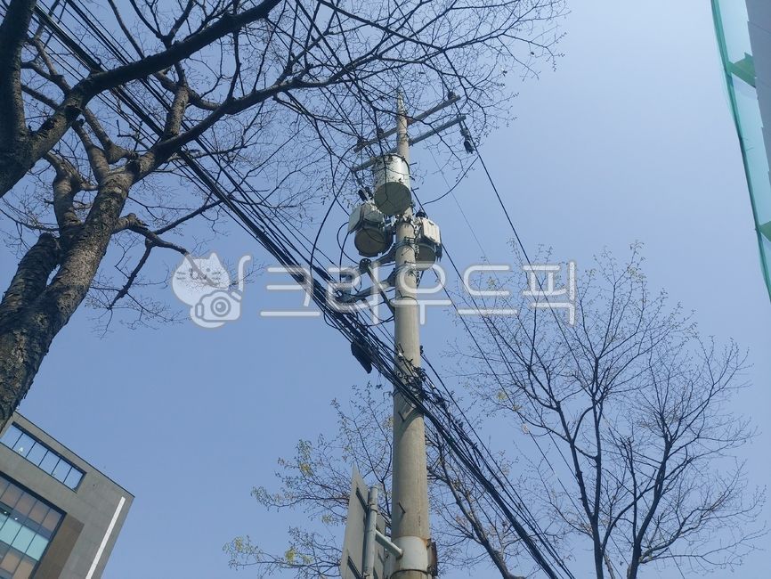 전봇대,전선,케이블,전선주,전신주,통신선