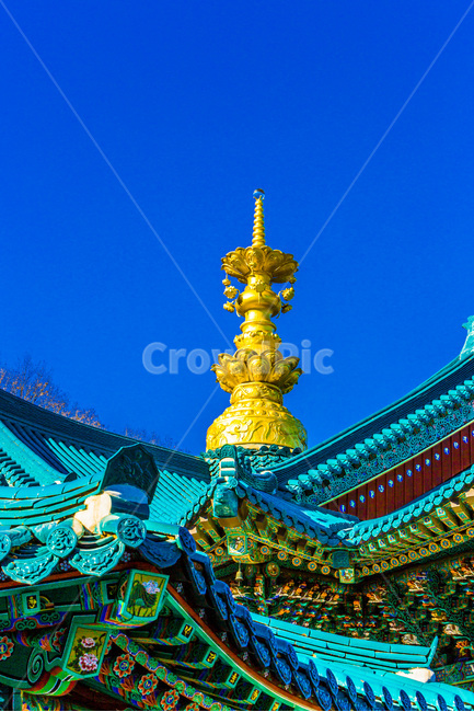 청기와,단청,사찰,문양,선,기와,전통기와,지붕,추녀,한국전통,한국문화,korean traditional,korean culture,종교,신앙,religion,belief,faith,건축물,건물외관,exterior,building,structure,architecture,construction