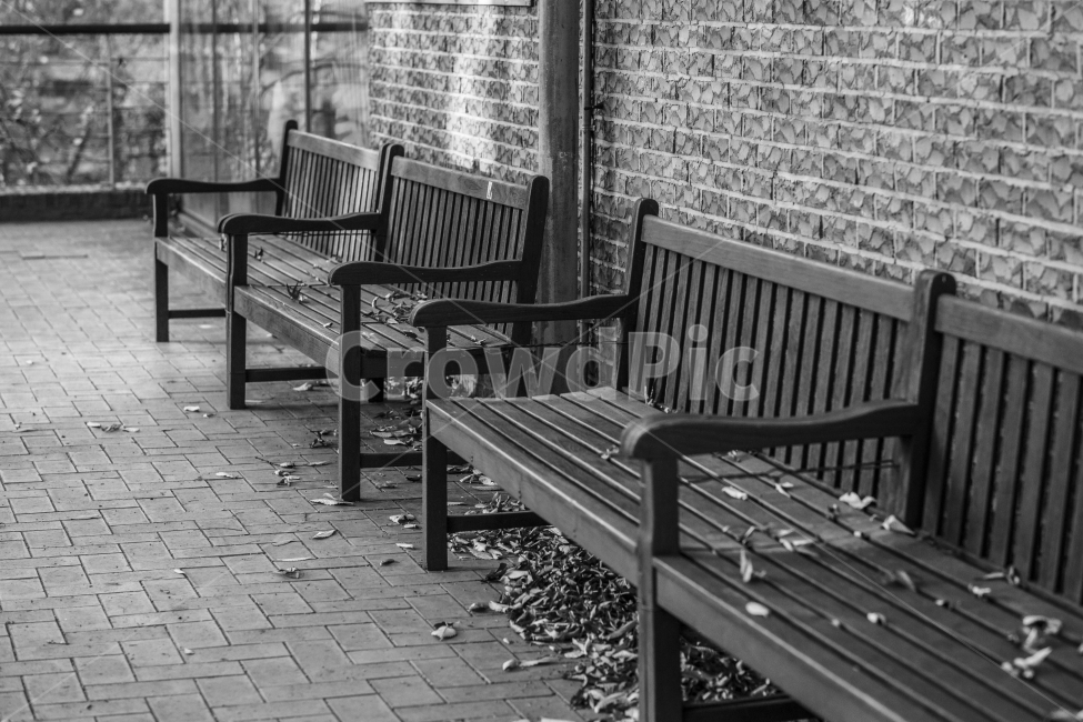 가을,풍경,흑백,낙옆,쓸쓸,의자,가을,계절,fall,autumn,season,흑백,모노톤,monochrome,black and white,furniture,가구,bench,벤치